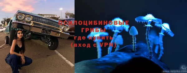 молекула духа Алексеевка