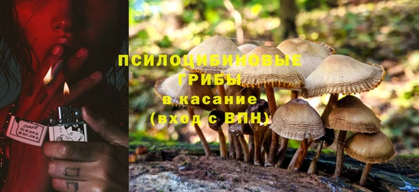 ECSTASY Алексин