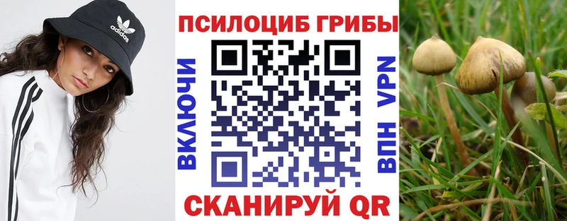 МЕГА Верхоянск Псилоцибиновые грибы MAGIC MUSHROOMS